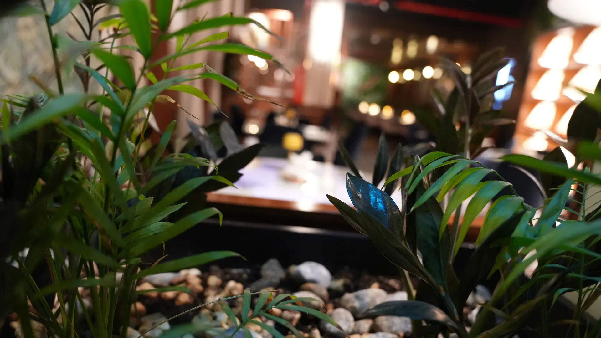 lacalle restaurant table sittings