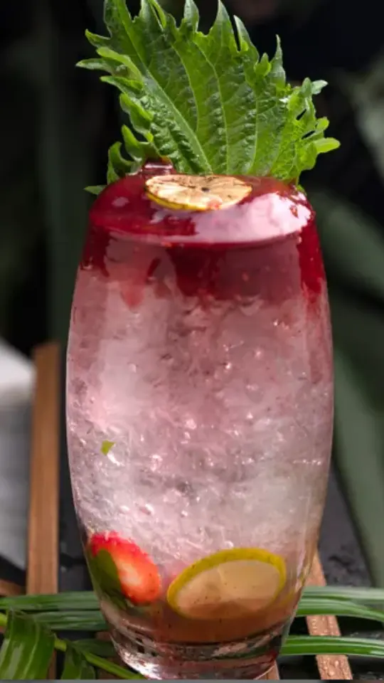 Mix Berry Mojito